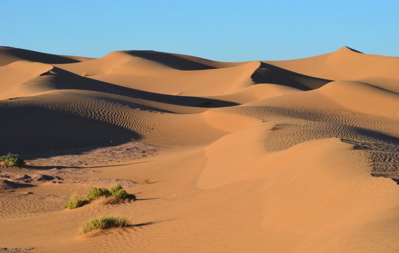 Camel Trekking In Sahara Desert (7 Days)