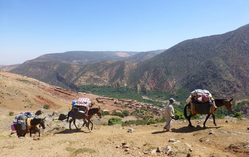 3 Days of Trekking through Berber Villages of Atlas Mountains