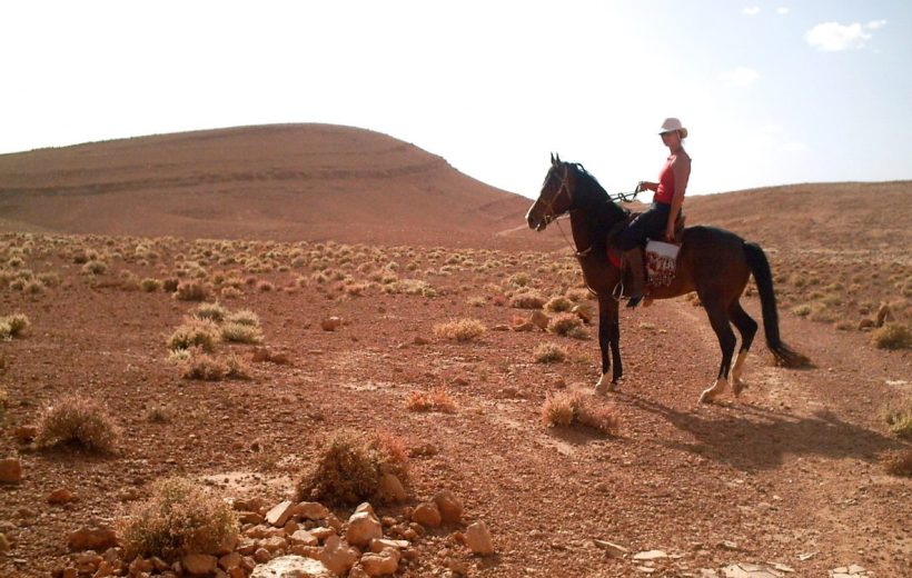 Day Trip Horse back Ride In Atlas Mountains